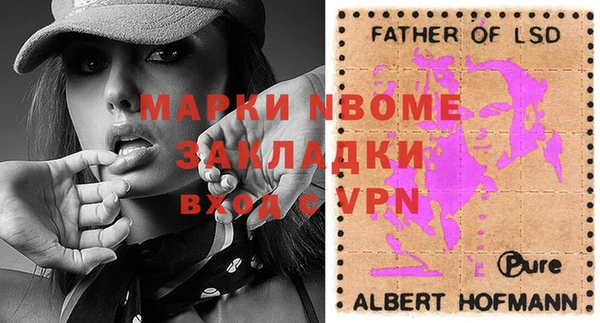 стаф Вязьма