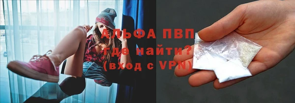 стаф Вязьма