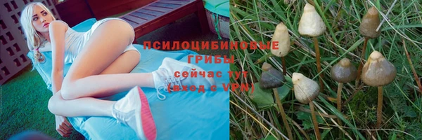 apvp Володарск