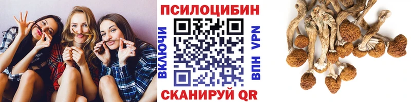 Галлюциногенные грибы ЛСД  Исилькуль 